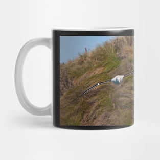 Royal Albatross 2 Mug